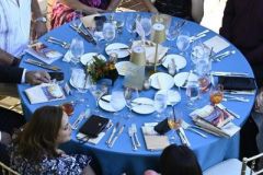 Vertical Nick Chau Gala photos - 15