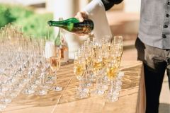 The Art of Fashion a Gala for Montalvo 