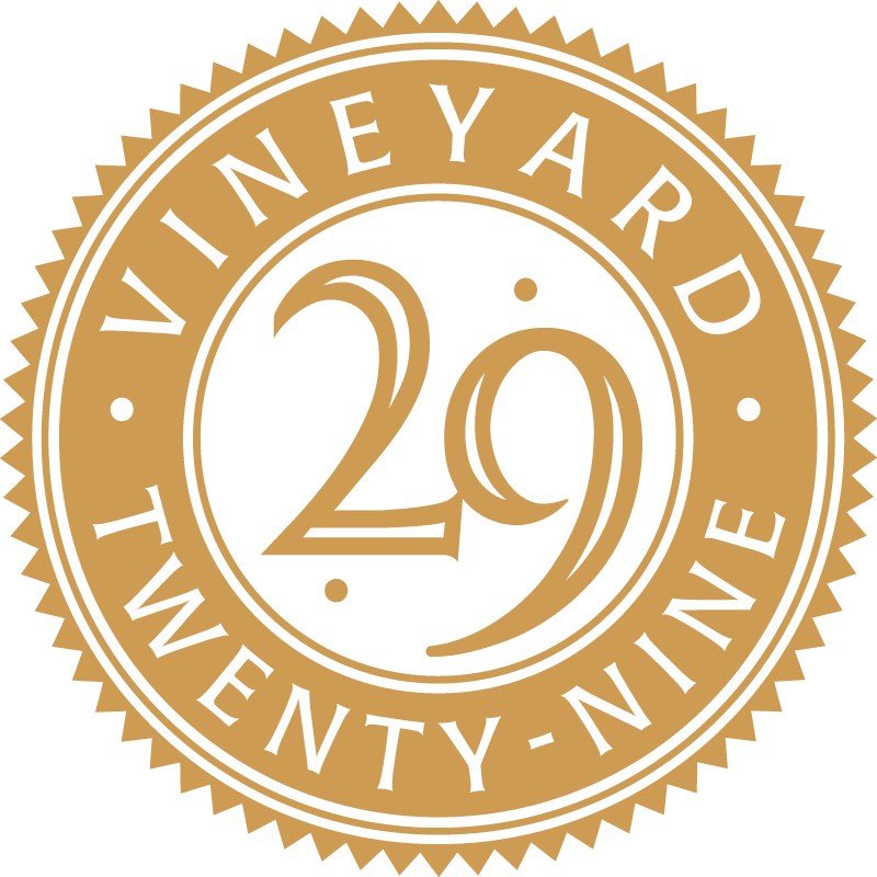 Vineyard 29