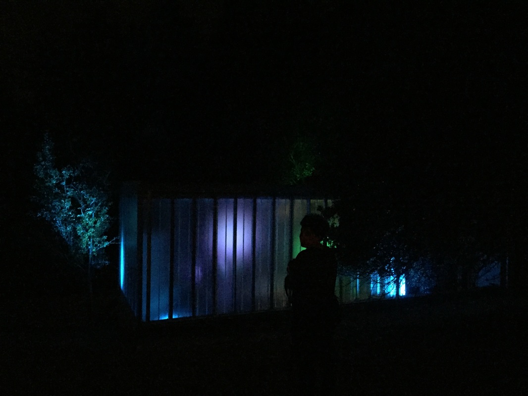 Ecosystemic Sound and Light