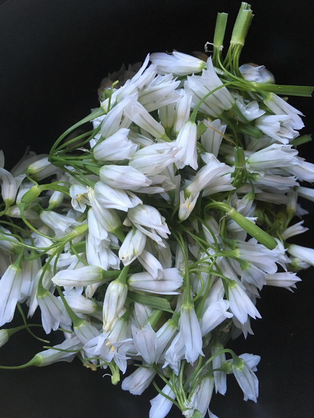 A Taste of Place: Wild Garlic Flowers