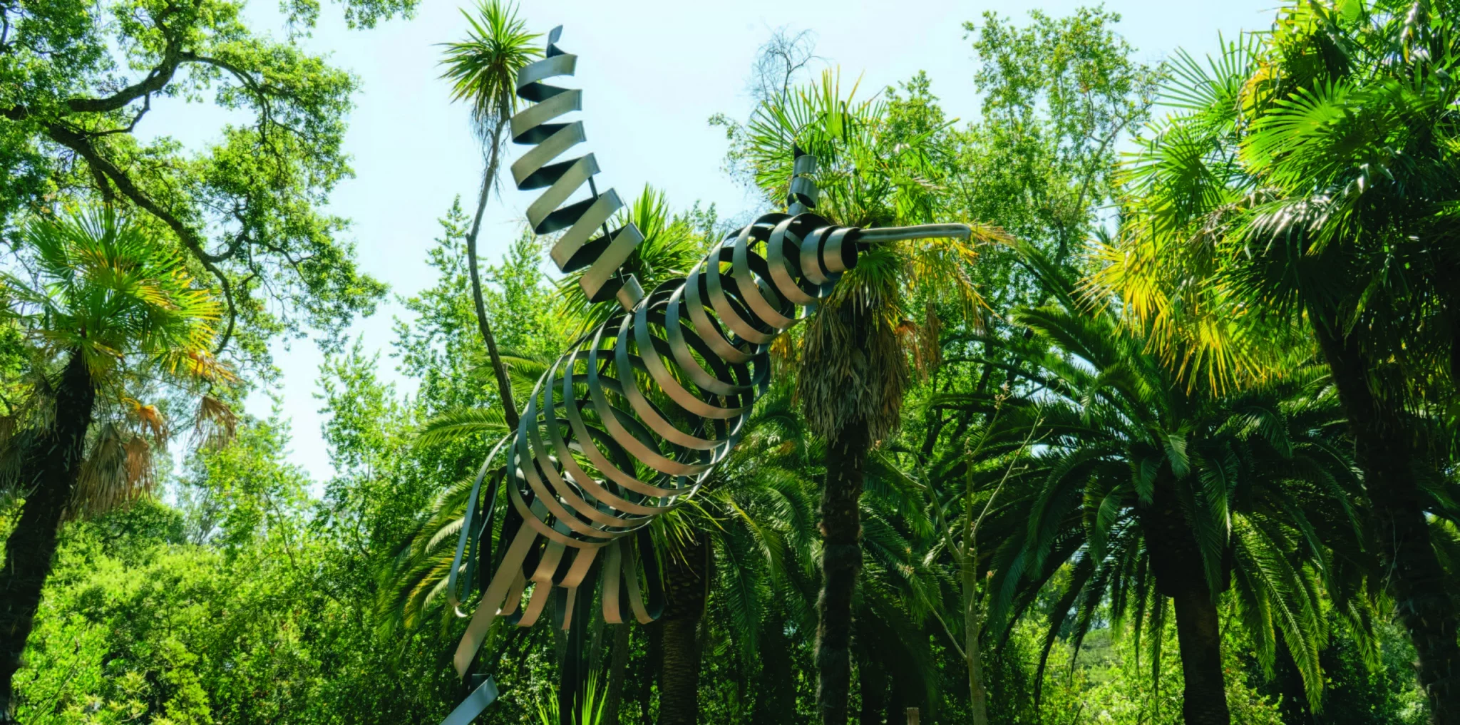 A Path Forward: Honoring Ohlone Land and Spirit